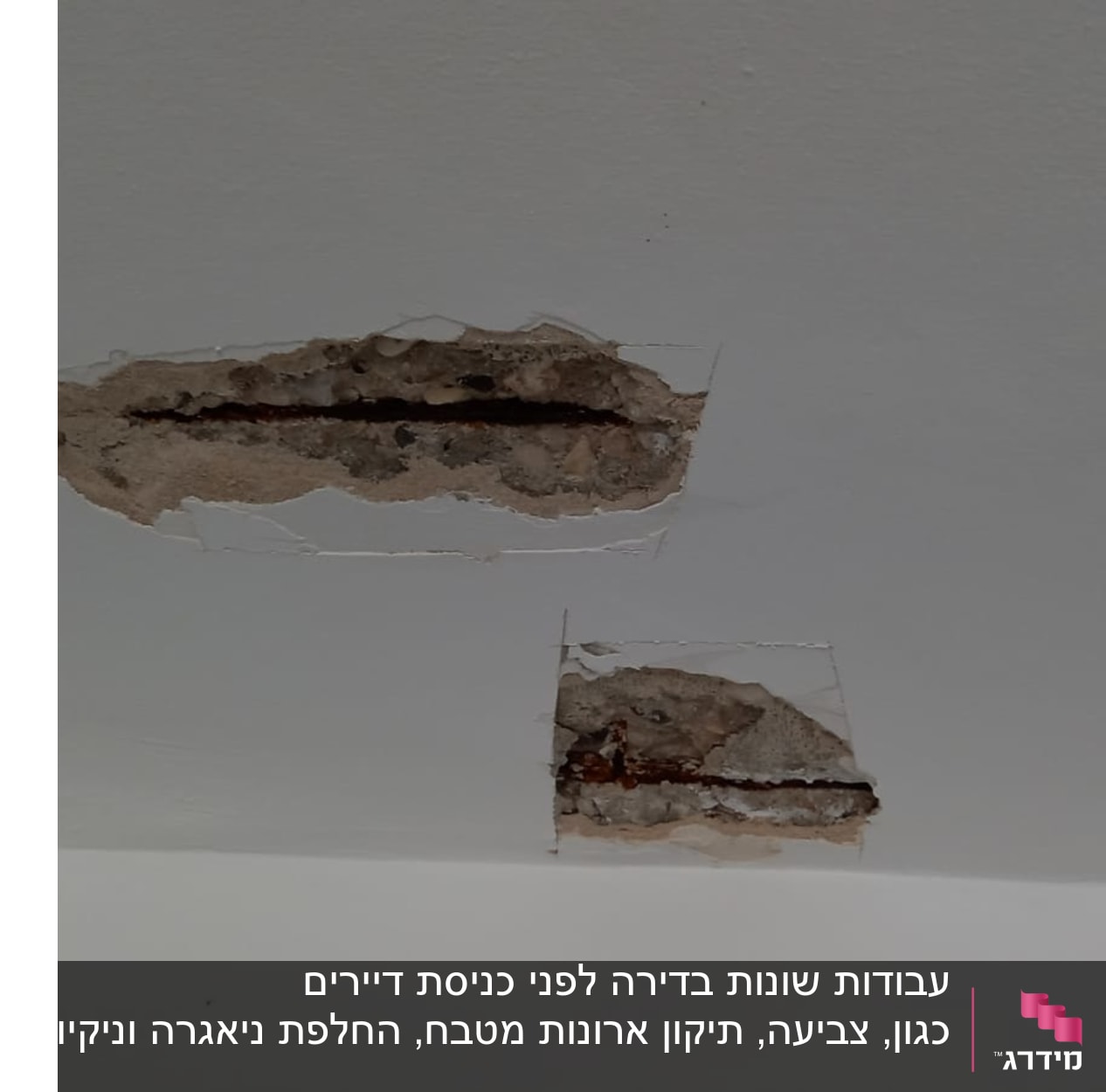 עבודות שונות בדירה לפני כניסת דיירים כגון, צביעה, תיקון ארונות מטבח, החלפת ניאגרה וניקיון כללי. 
